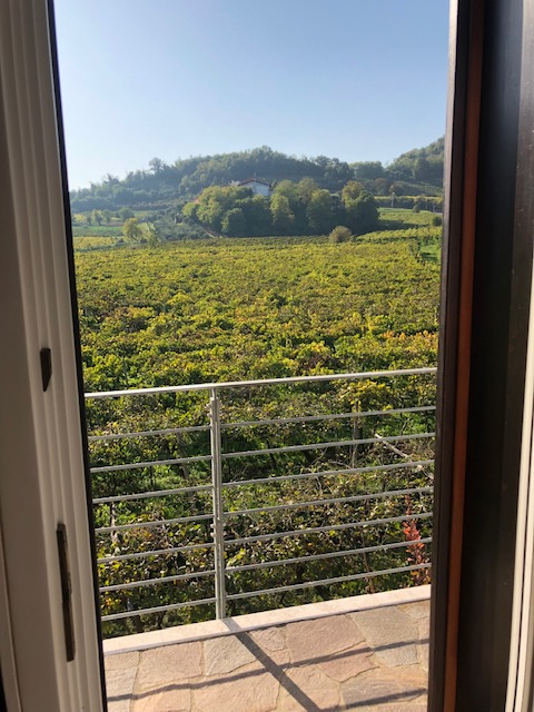 carosello-7